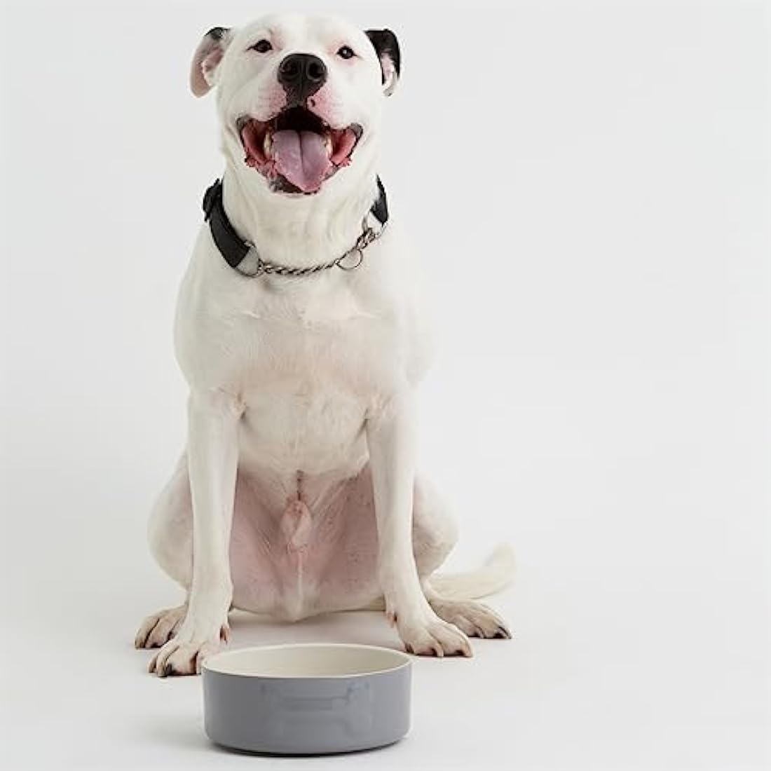 Mason Cash Grey Dog Bowl – 20cm Durable Stoneware Pet Dish for Large Dogs