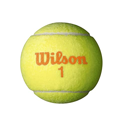 Wilson Starter Orange Tennis Balls – Bulk Pack of 48 Training Balls