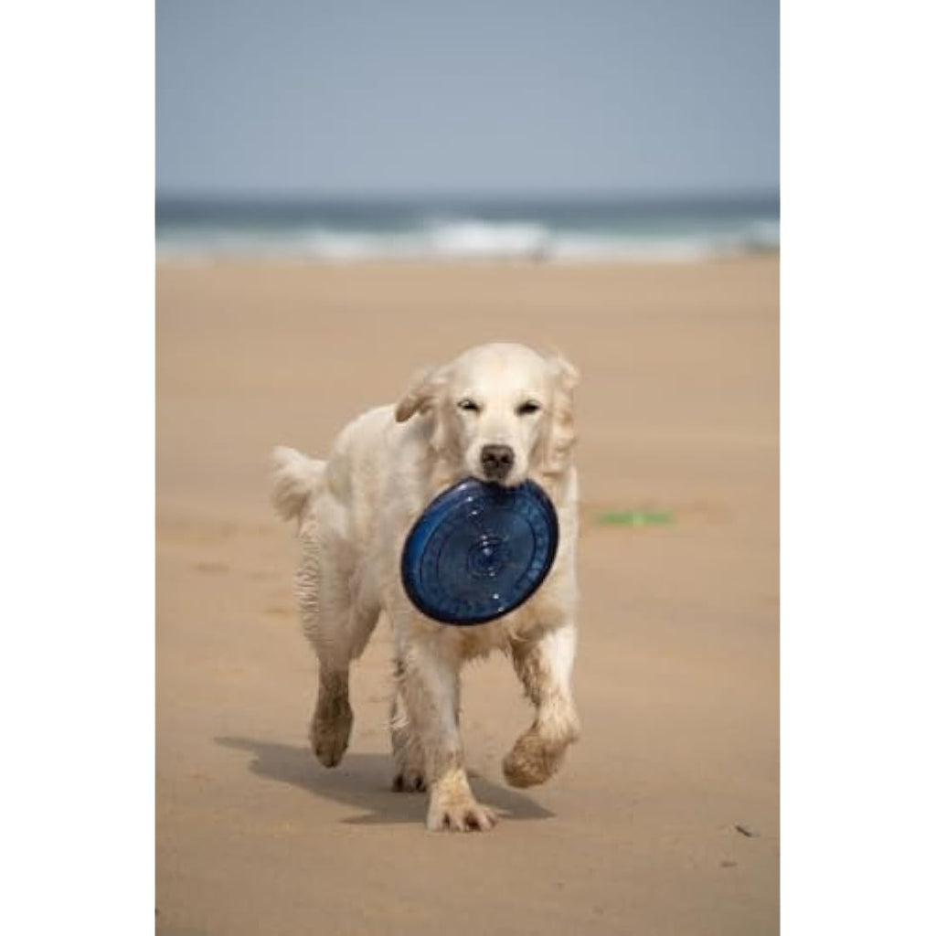 Petface Durable Rubber Frisbee Dog Toy – Interactive Fetch & Play