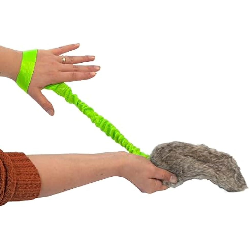 Dingo Bungee Dog Chaser Toy | Squeaky Artificial Fur Tug for Agility