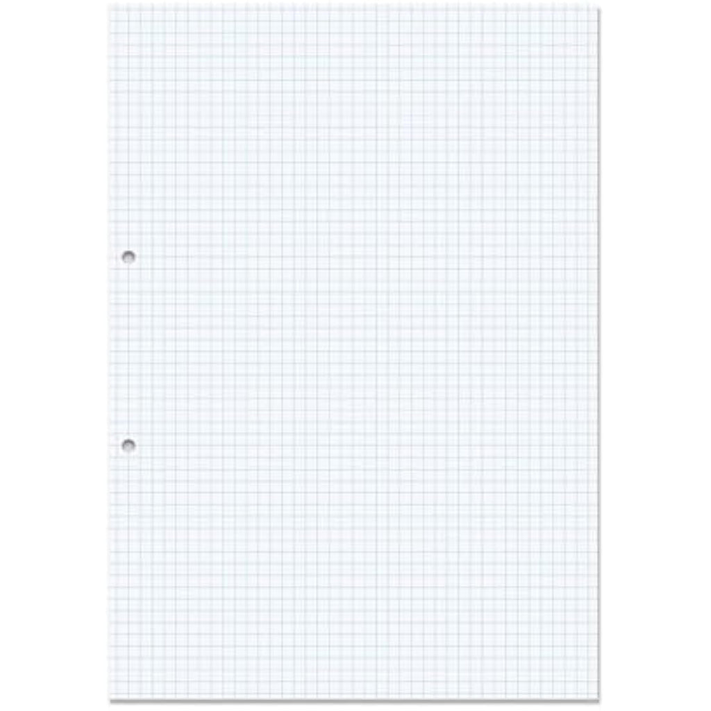 RHINO A4 Loose Leaf Squared Paper | 5mm Grid, 500 Sheets, Hole Punched