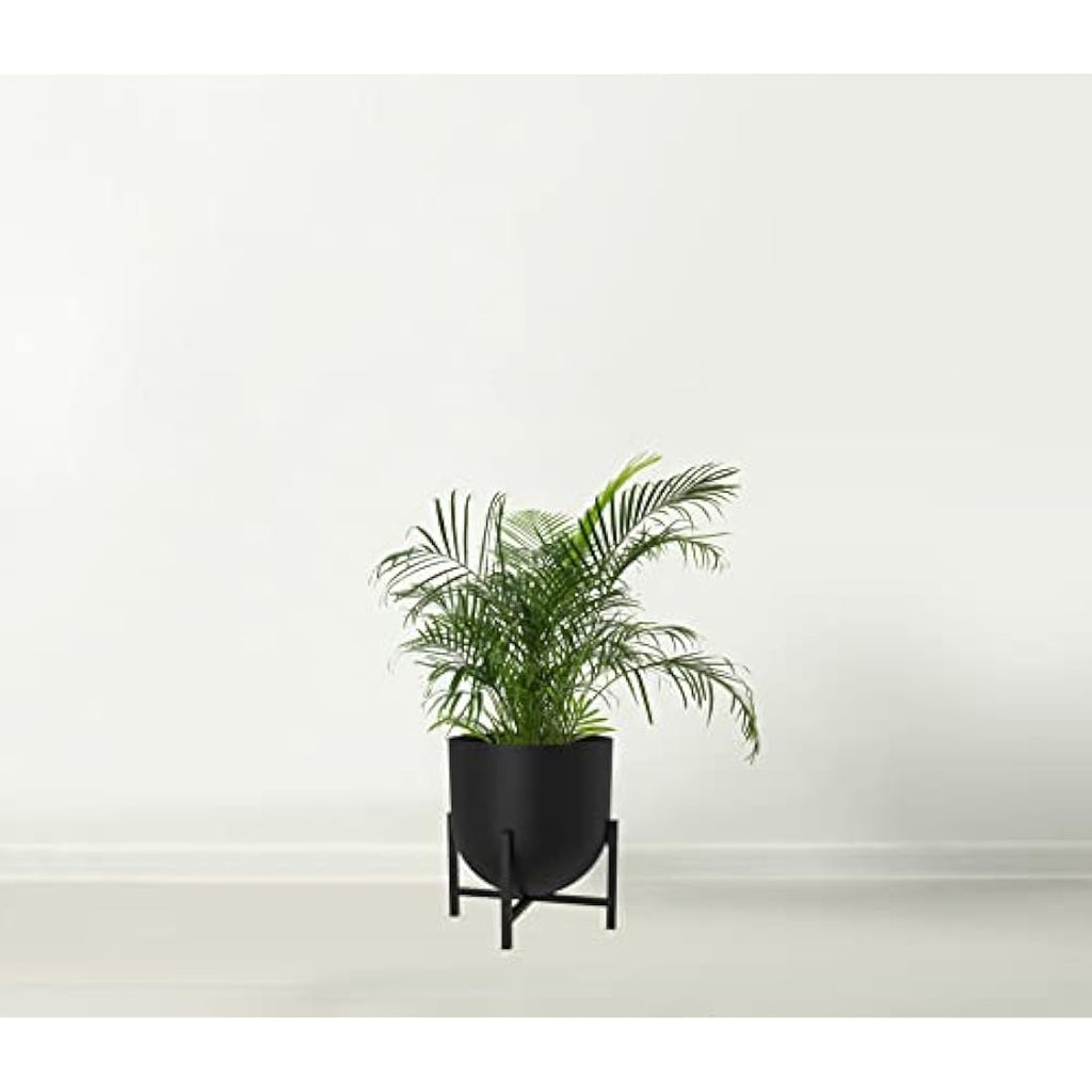 Olly & Rose Metal Indoor Plant Pot with Stand – Matt White, 22cm