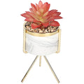 Jolof Store Faux Red Leaf Marble Succulent - Waterproof Indoor Plant