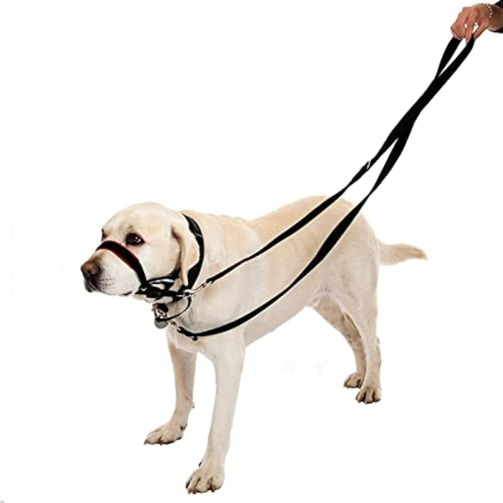 YankMooM Double Ended Dog Training Lead | Multi-Function Rope Leash, Black