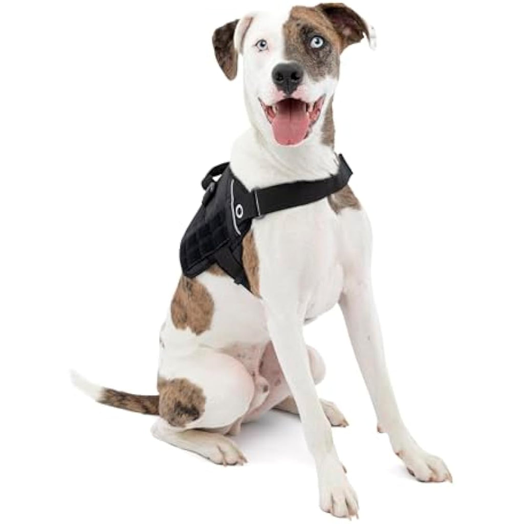 Kurgo RSG Townie Dog Harness – Tactical MOLLE Hiking Vest, Black, Medium
