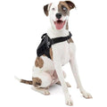 Kurgo RSG Townie Dog Harness – Tactical MOLLE Hiking Vest, Black, Medium