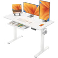 ErGear Electric Standing Desk 120x60cm | Height Adjustable Sit Stand Table