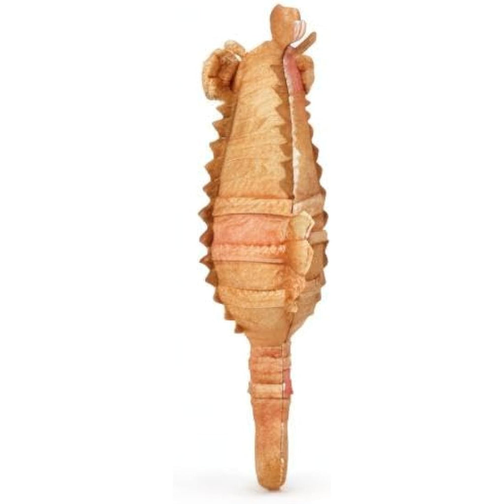 Zappi Co Seahorse Plush Toy – 25cm Soft Stuffed Animal for Kids