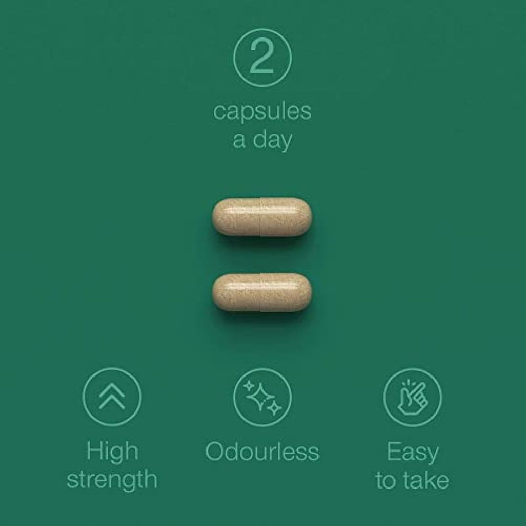 Jolof Store Green Lipped Mussel 1000mg | Joint & Mobility Supplement