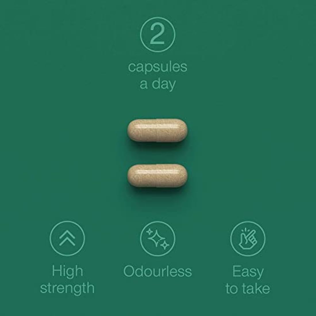 Jolof Store Green Lipped Mussel 1000mg | Joint & Mobility Supplement