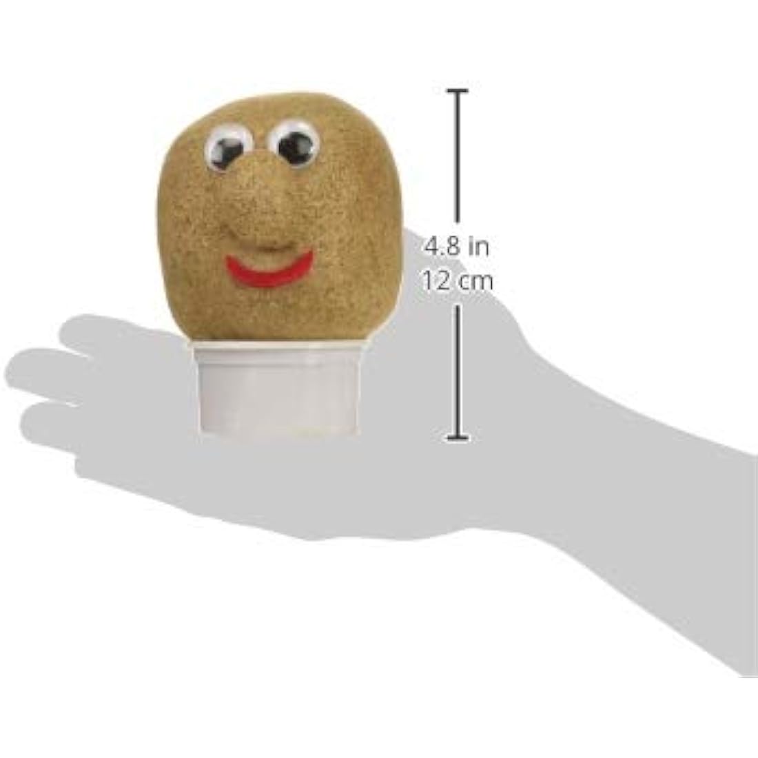 Tobar Mr Grasshead Novelty Growing Kit – Kids Educational Nature Toy