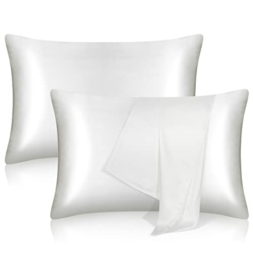 Tenn Well 2-Pack Mulberry Silk Pillowcases | 19 Momme 100% Pure Silk