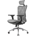 SIHOO M57 Ergonomic Mesh Office Chair | 3D Armrests & Lumbar Support