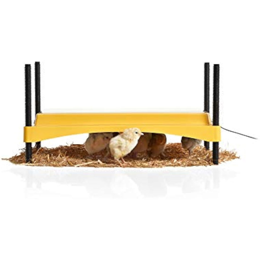 Brinsea EcoGlow Safety 1200 Chick Brooder Plate | Energy-Efficient Heater