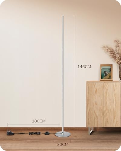 EDISHINE LED Floor Lamp | Dimmable Minimalist Silver Corner Standing Lamp