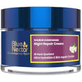 Blue Nectar Men's Night Repair Cream | Anti-Aging Ayurvedic Moisturizer