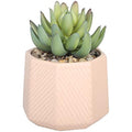 Jolof Store Artificial Faux Succulent | Pink Geo Pot Ceramic Decor