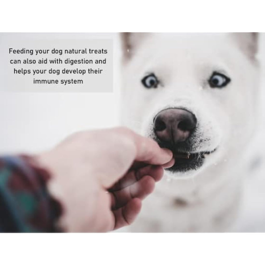 Maltbys Stores Natural Bully Sticks - 5" Beef Pizzle Dog Chews (50 Pack)