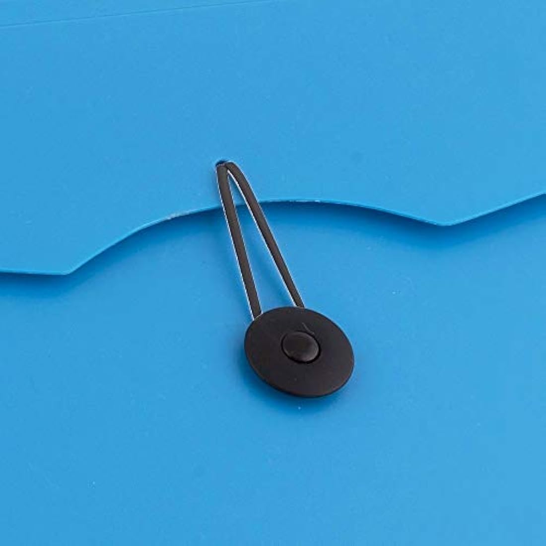 D.RECT A4 Expanding File Folder | 12-Pocket Document Organiser - Blue