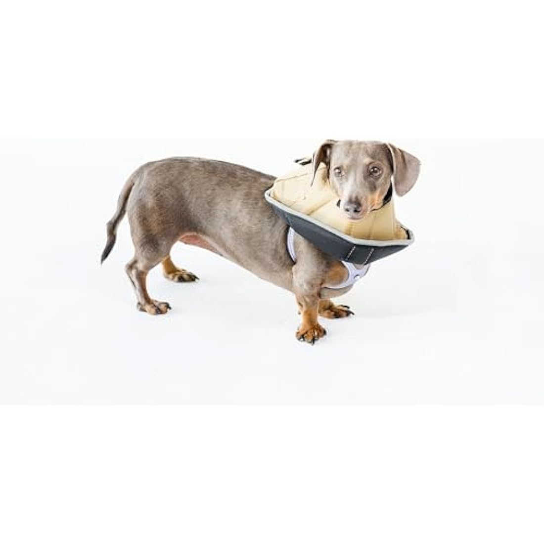 All Four Paws Comfy Cone – Soft Pet Recovery Collar, Tan, Small-Long