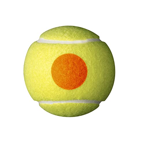 Wilson Starter Orange Tennis Balls – Bulk Pack of 48 Training Balls