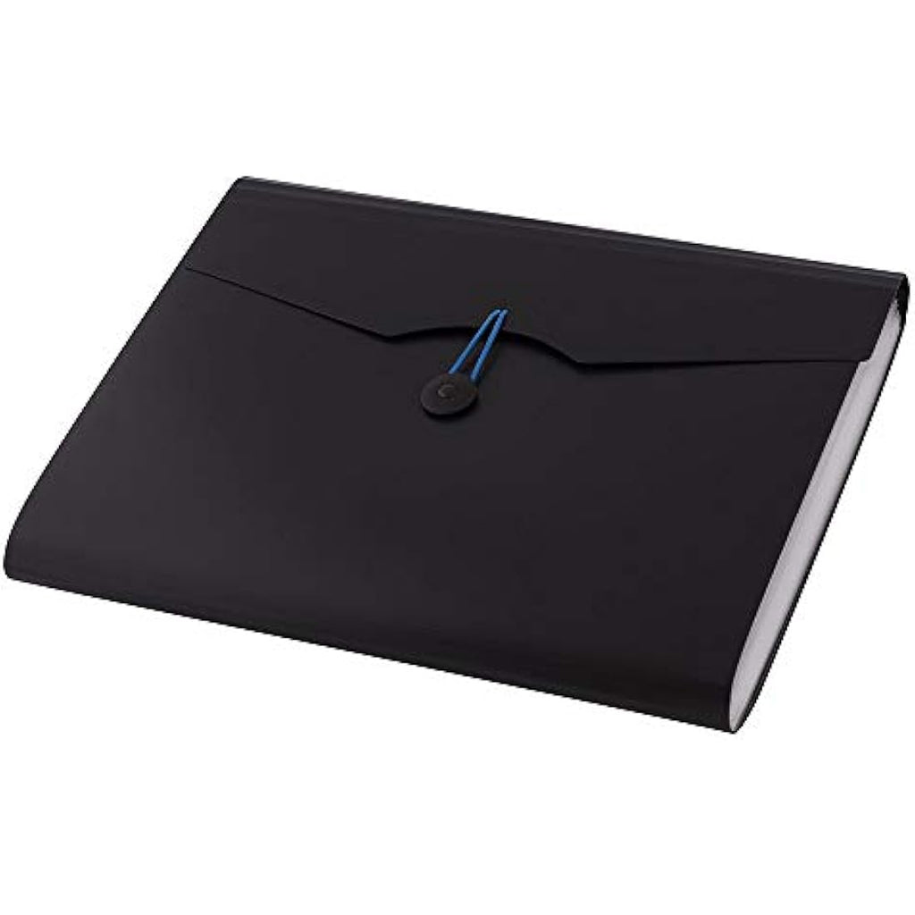 D.RECT A4 Expanding File Folder | 12-Pocket Document Organiser - Black