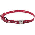 Educator Bungee Dog Collar – 3/4" Waterproof Biothane – Red