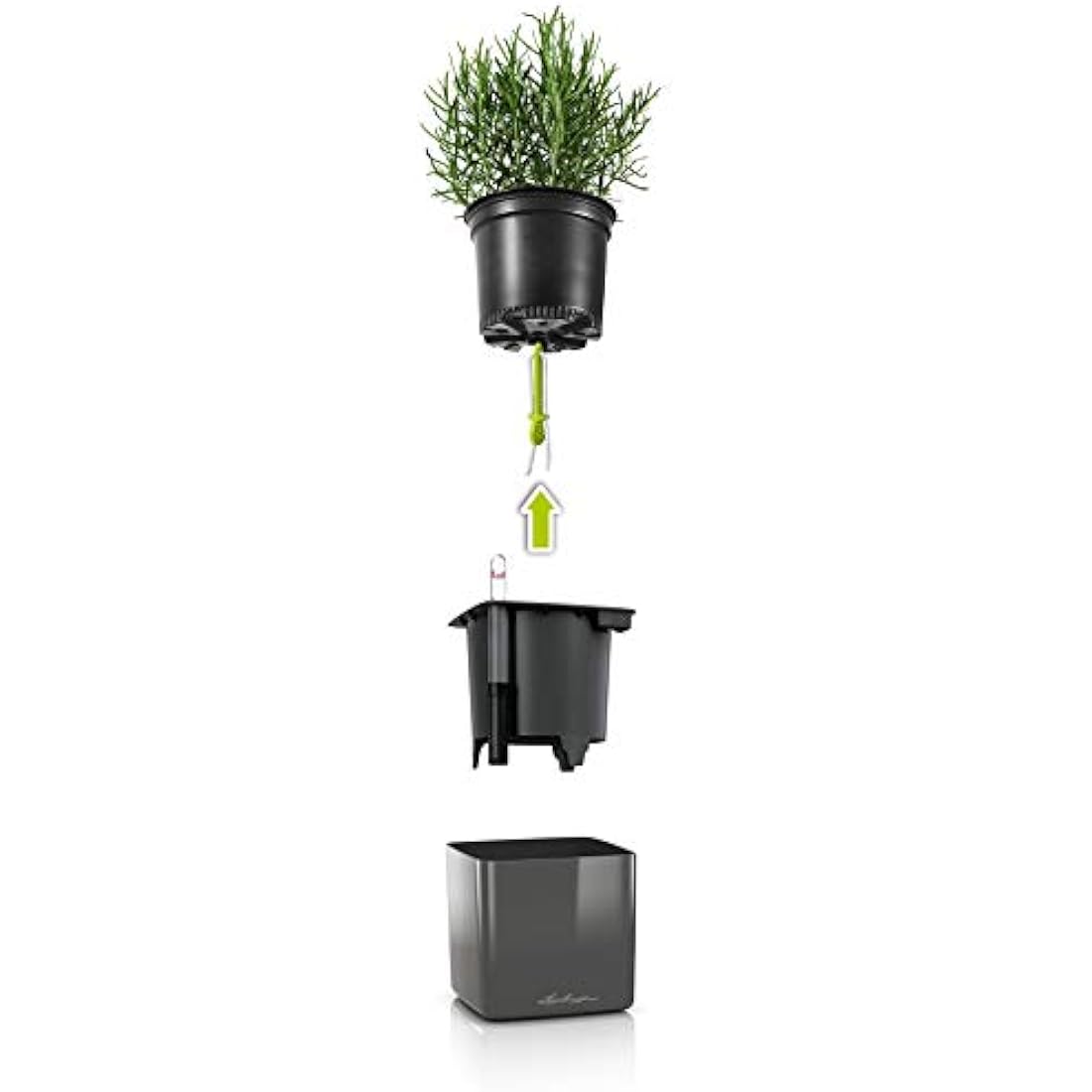 LECHUZA Self-Watering Indoor Green Wall Kit | Glossy White Herb Planter