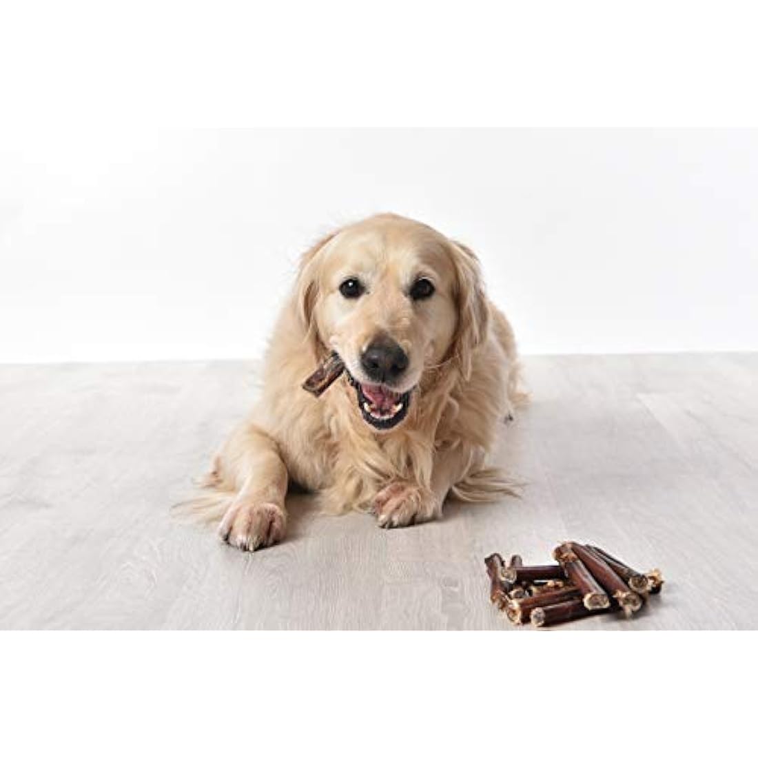 Dragonfly Products | 10 Pack Thick Beef Pizzle Bully Sticks for Dogs