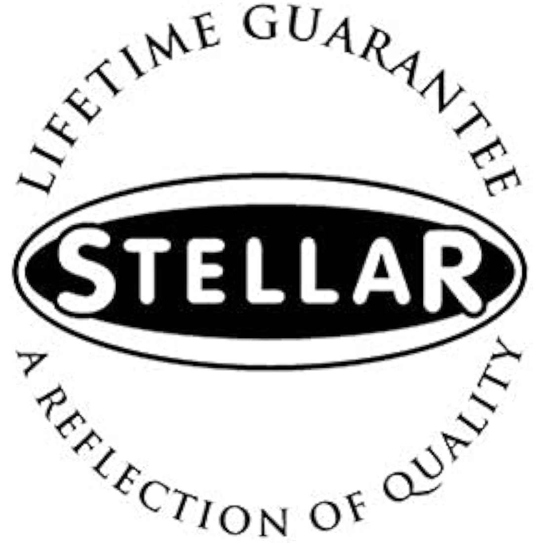 Stellar 20cm Non-Stick Frying Pan – Stainless Steel Induction Ready