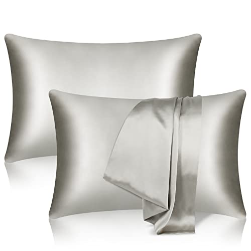 Tenn Well 2-Pack Mulberry Silk Pillowcase | 19 Momme 100% Pure Silk