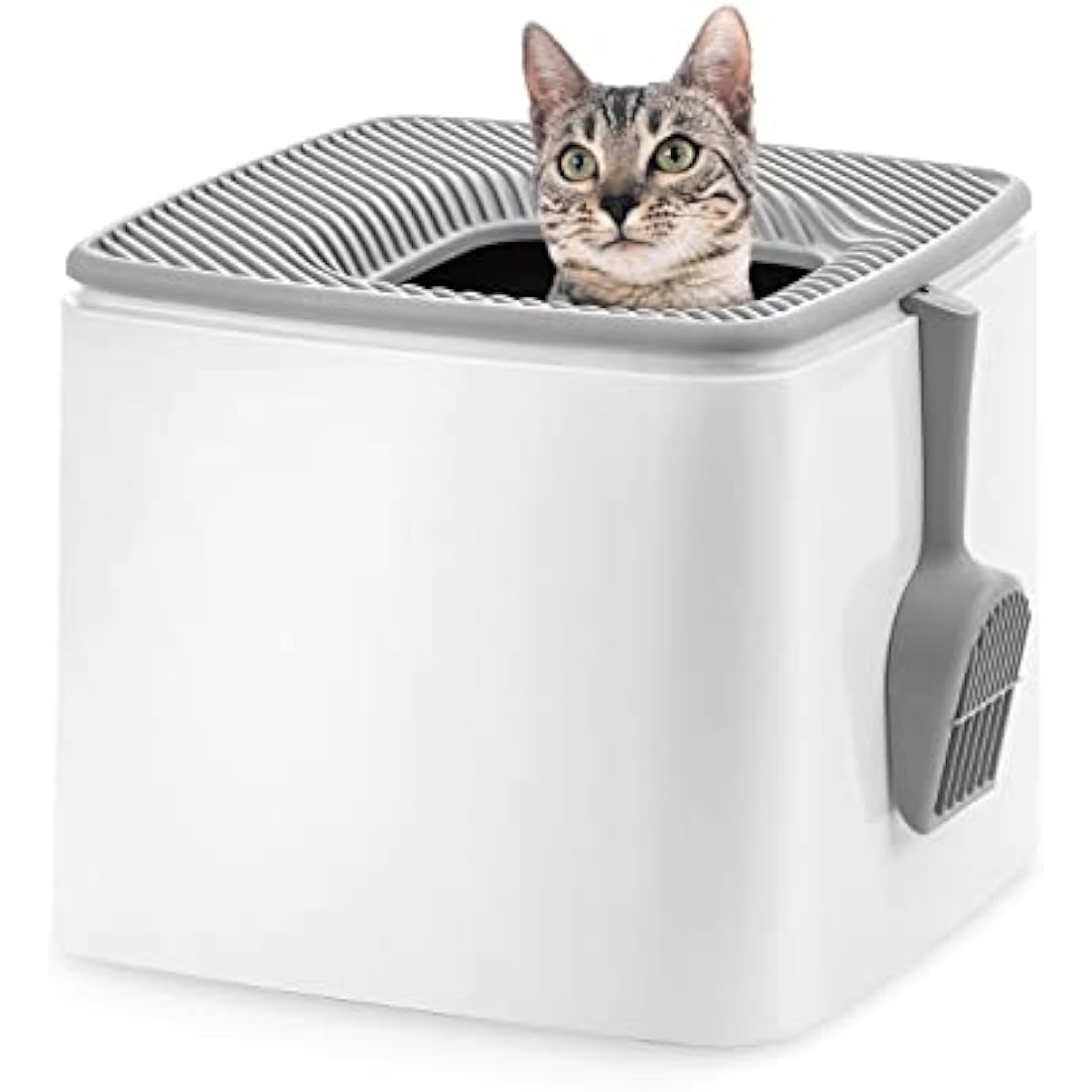 IRIS USA Top Entry Cat Litter Box with Scoop – Odor Control, White