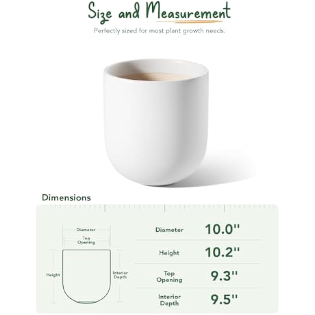 LE TAUCI 25cm Ceramic Plant Pot | Minimalist Cylinder Flower Pot