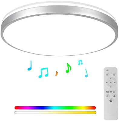 Horevo 24W LED Ceiling Light | Dimmable RGB with Bluetooth Speaker