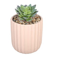 Sleepdown Halo Green Artificial Faux Plant in Pink Textured Pot