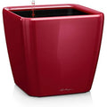 LECHUZA QUADRO Premium LS 50 Self-Watering Planter - Scarlet Red