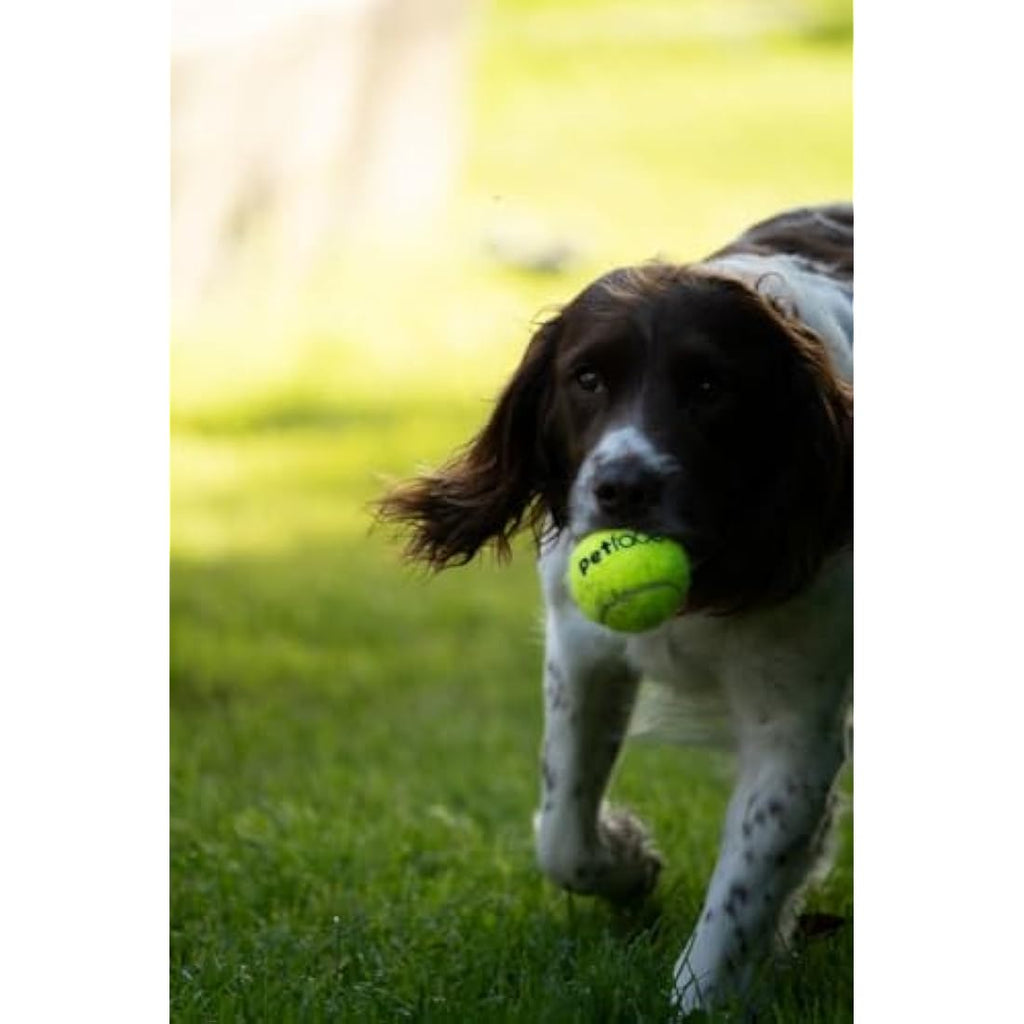Petface Durable Tennis Balls for Dogs – High-Visibility Fetch Toy (3 Pack)