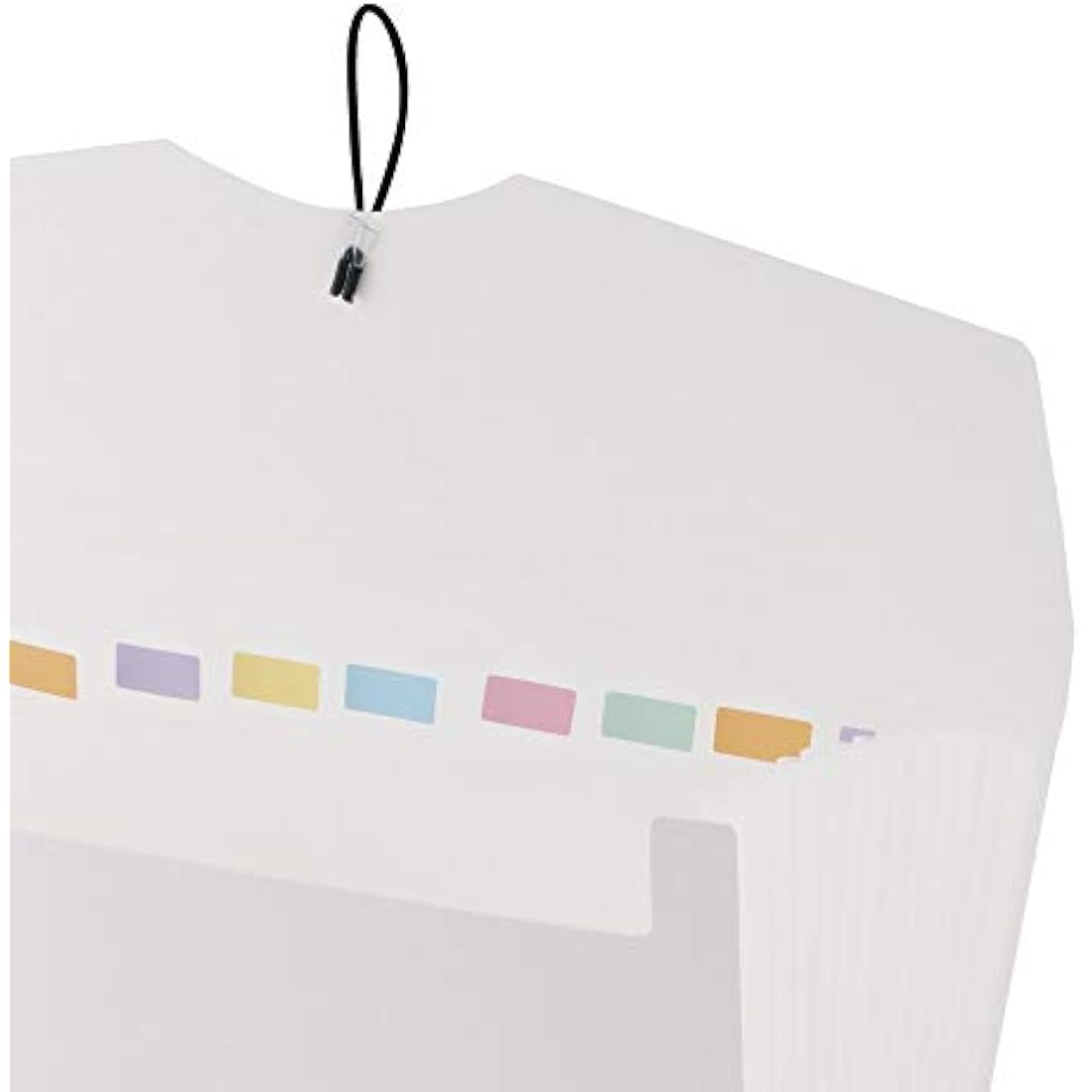 D.RECT A4 Expanding File Folder – 12 Compartment Document Organizer