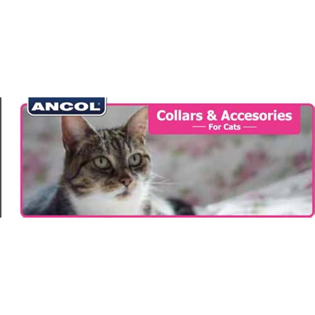 Hi-Vis Reflective Kitten Collar – Neon Pink Breakaway Buckle
