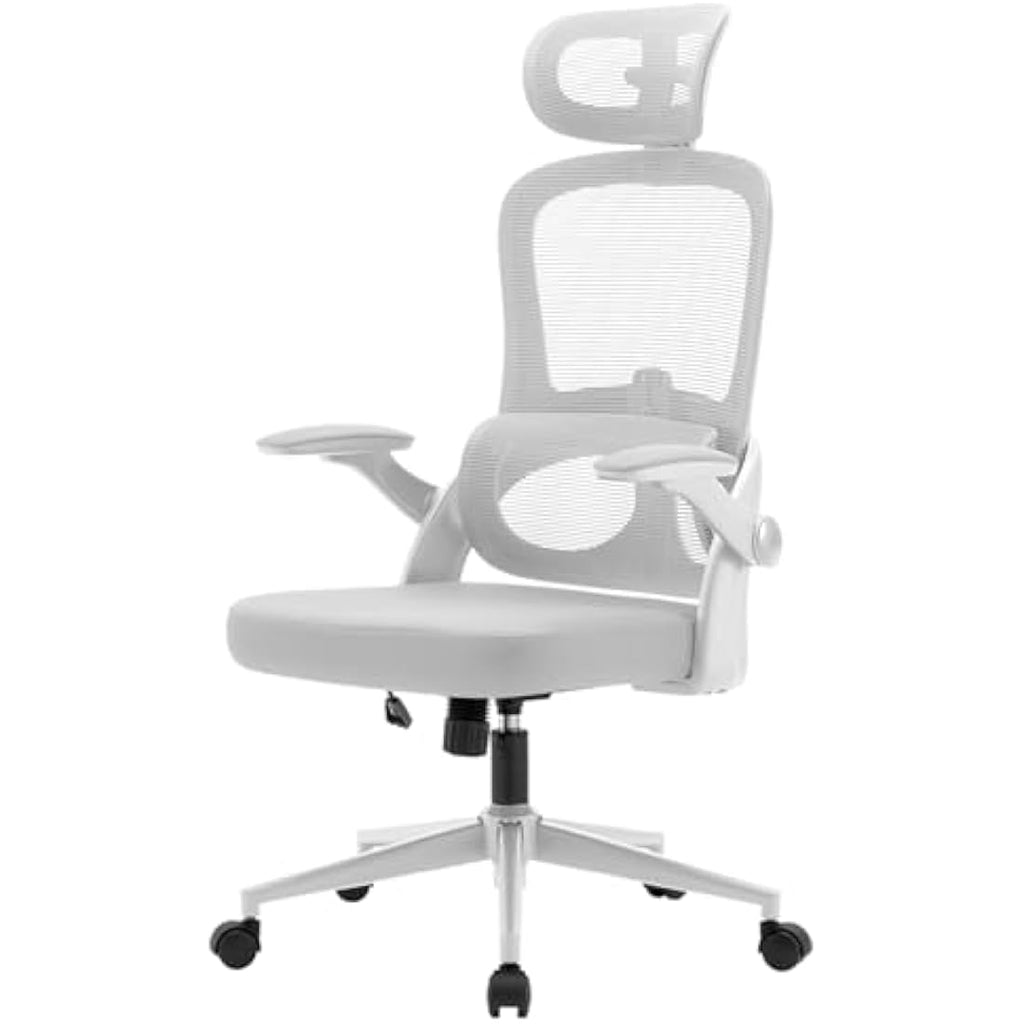 SIHOO M102C Ergonomic Mesh Office Chair | High Back Desk Chair with Lumbar