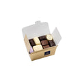 Leonidas Belgian Chocolates - 250g Assorted Gift Box - 14 Piece Ballotin