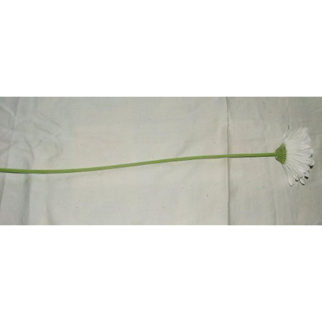 White Artificial Gerbera Stems - 4" Large Bloom - 6 Pack