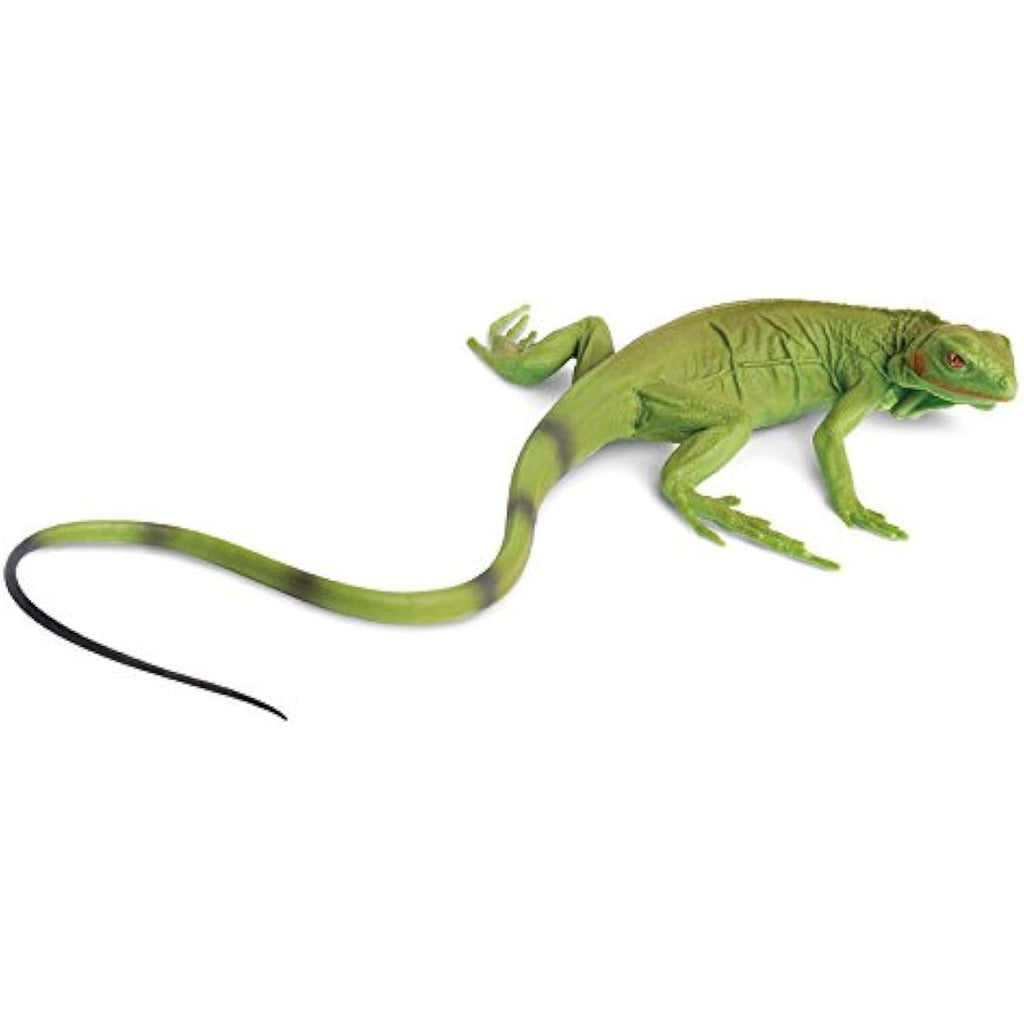 Safari Ltd Toob Green Iguana Baby Figurine – Hand Painted Reptile Toy