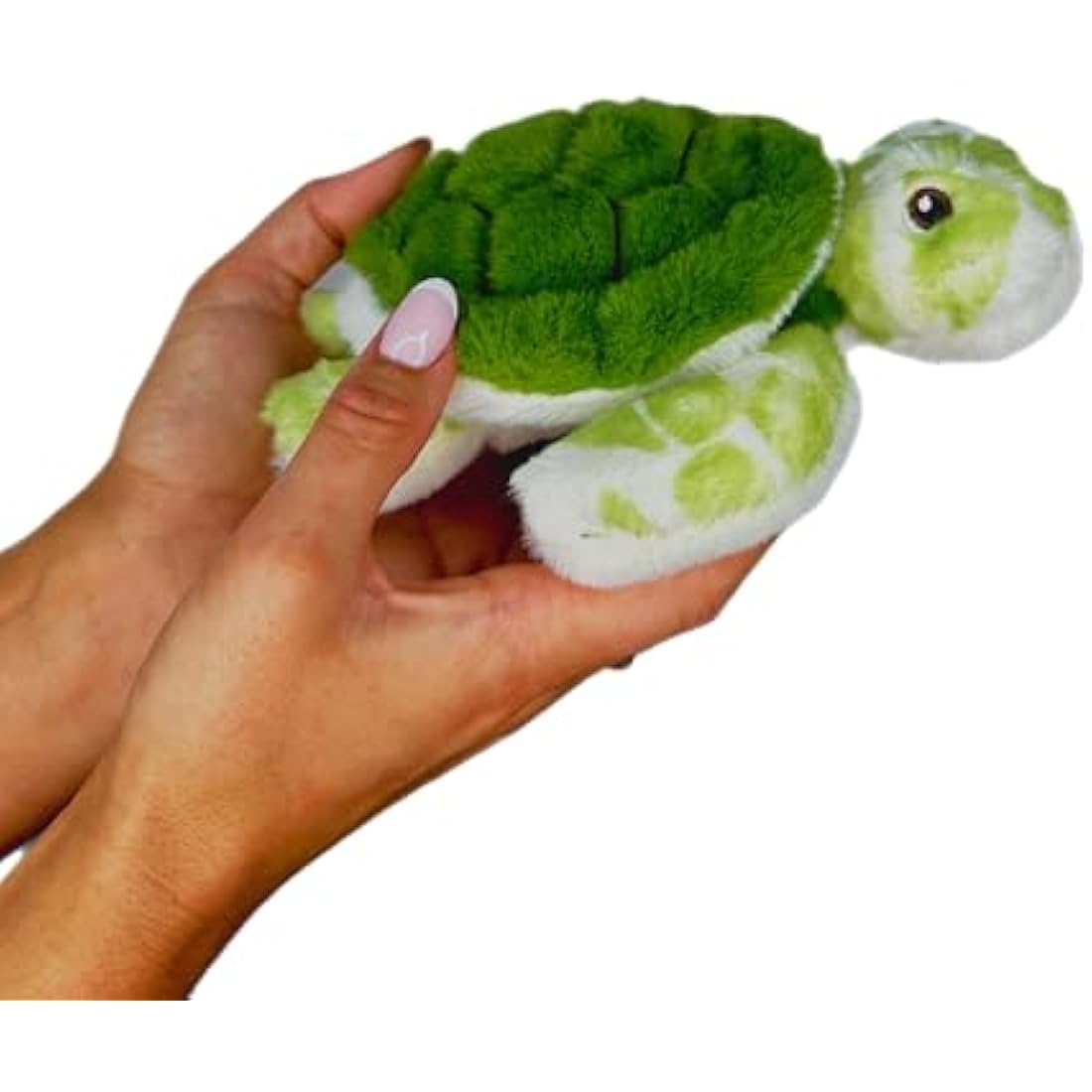 Deluxe Paws Your Planet Turtle Eco Plush Toy – 15cm Recycled Soft Toy