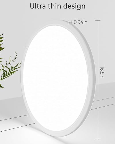Zemty 36W LED Ceiling Light | 42cm Ultra Thin 3-Color Flush Mount Lamp