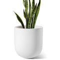 LE TAUCI 25cm Ceramic Plant Pot | Minimalist Cylinder Flower Pot