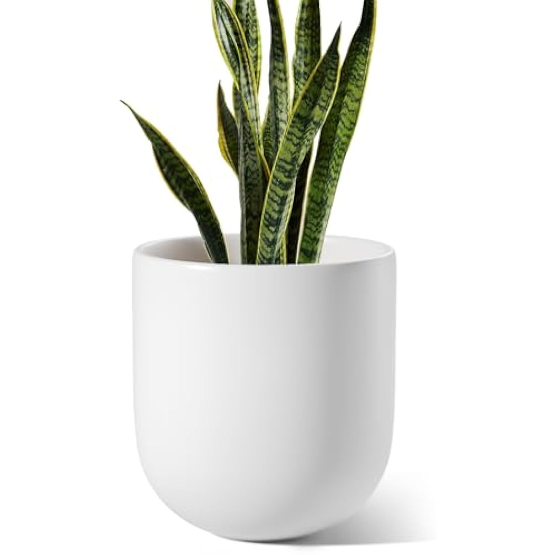 LE TAUCI 25cm Ceramic Plant Pot | Minimalist Cylinder Flower Pot
