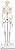 3B Scientific Mini Human Skeleton Model – Pelvic Mounted PVC Anatomy