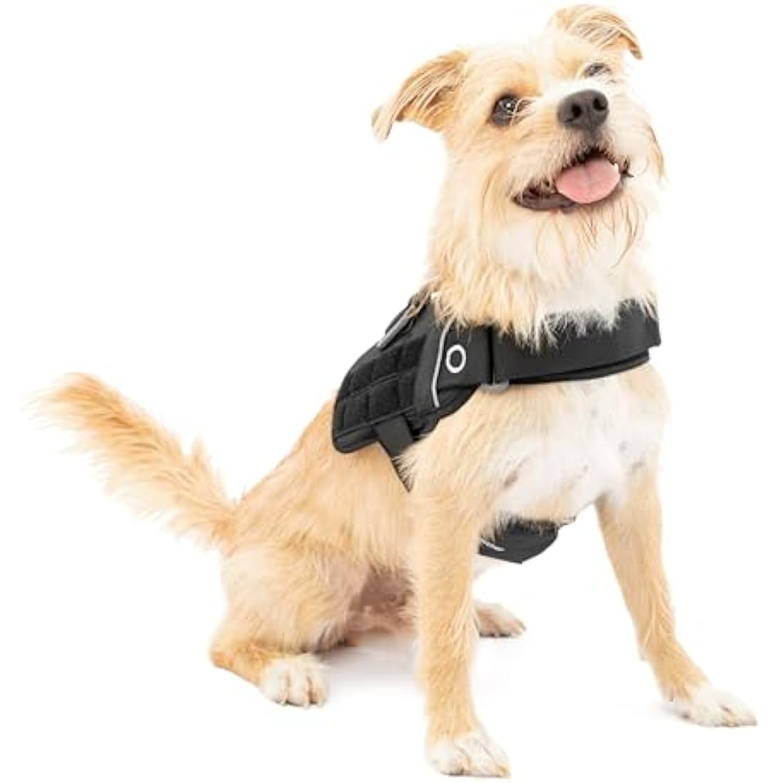 Kurgo RSG Townie Dog Hiking Harness | MOLLE Compatible & Adjustable