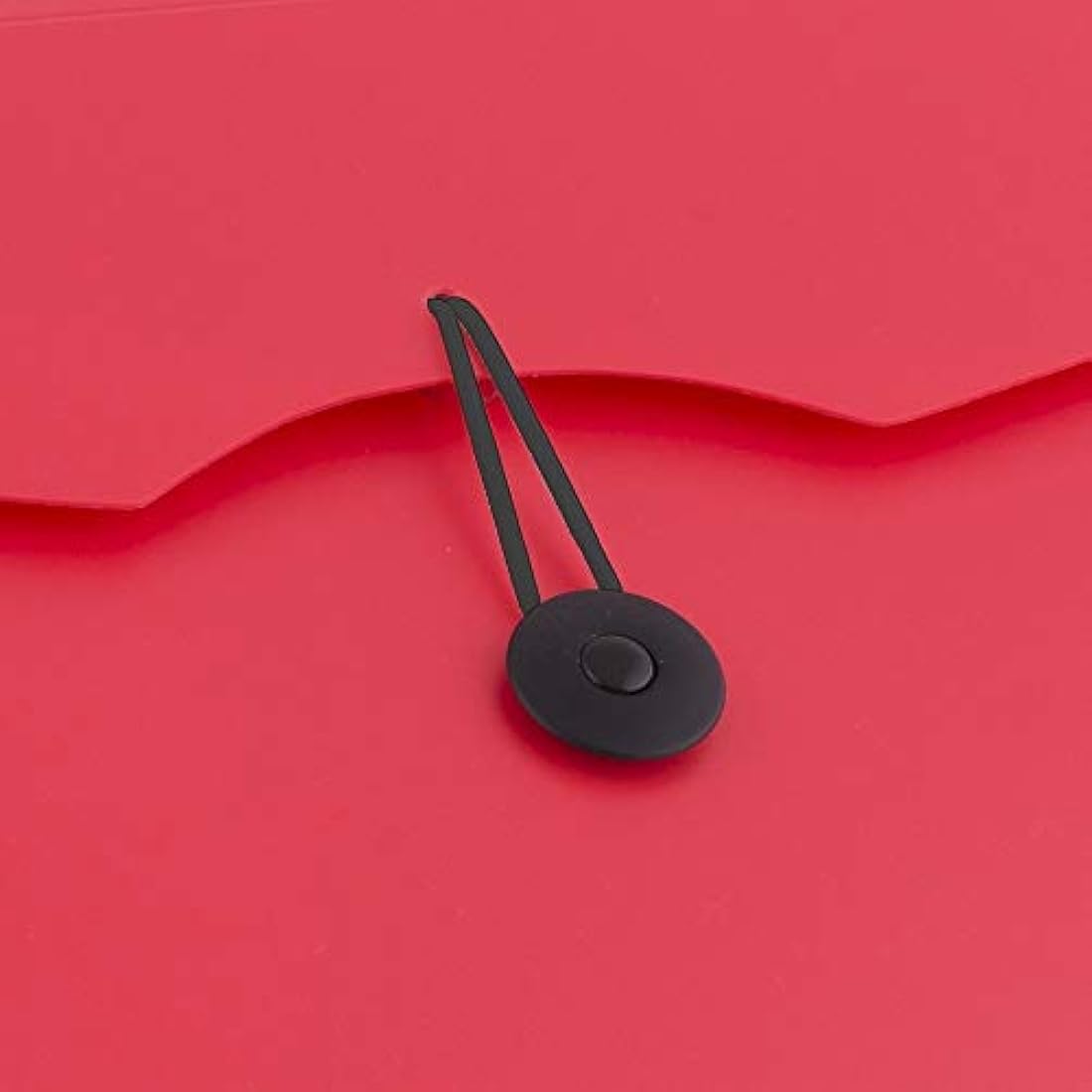 D.RECT A4 Expanding File Folder | 12 Pockets Document Organiser - Red